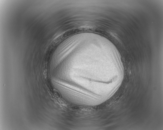 X0000060281015200511181316
