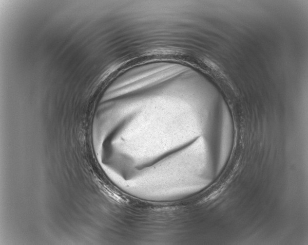 X0000060281017200511181316