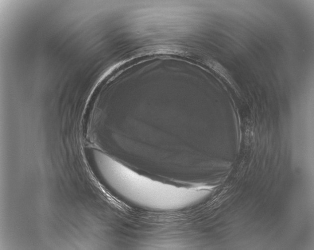 X0000060281024200511181317