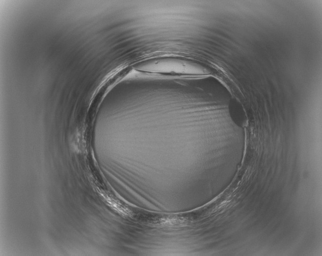 X0000060281026200511181317