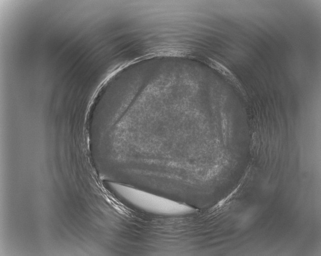 X0000060281027200511181317