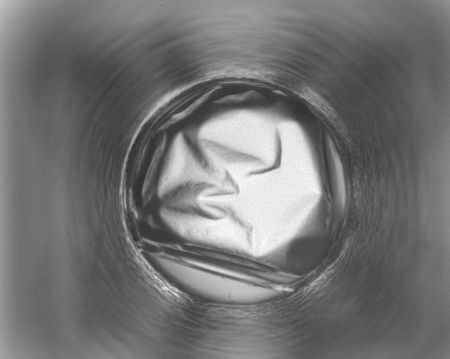 X0000060281028200511181317