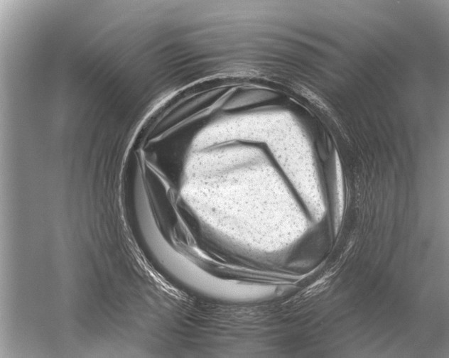 X0000060281029200511181317