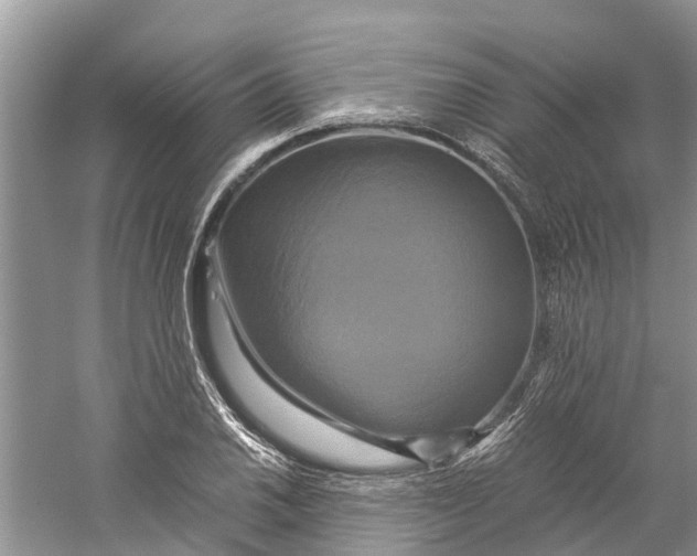 X0000060281030200511181317