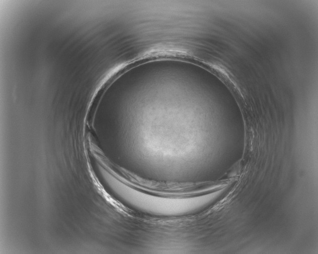 X0000060281038200511181317