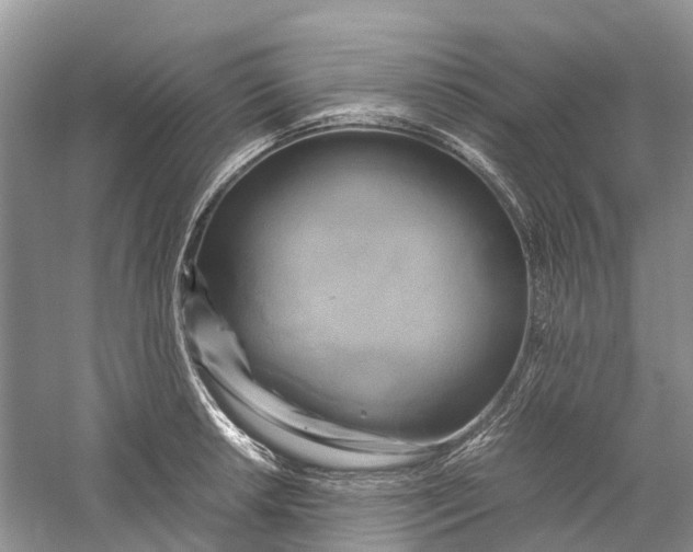 X0000060281042200511181317
