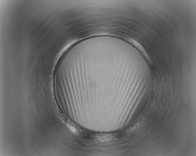 X0000060281051200511181317