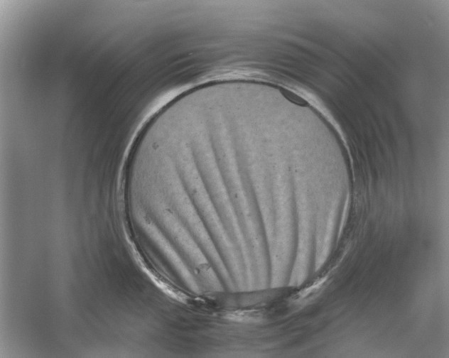 X0000060281053200511181317