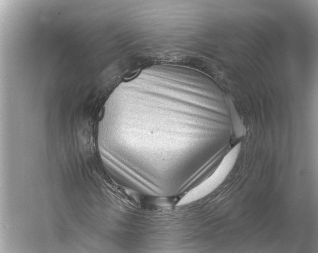 X0000060281058200511181316