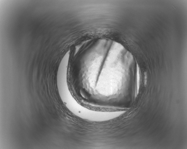 X0000060281059200511181316