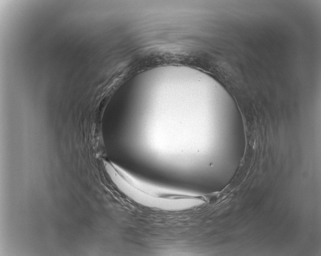 X0000060281061200511181316