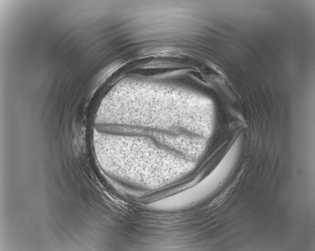 X0000060281066200511181316