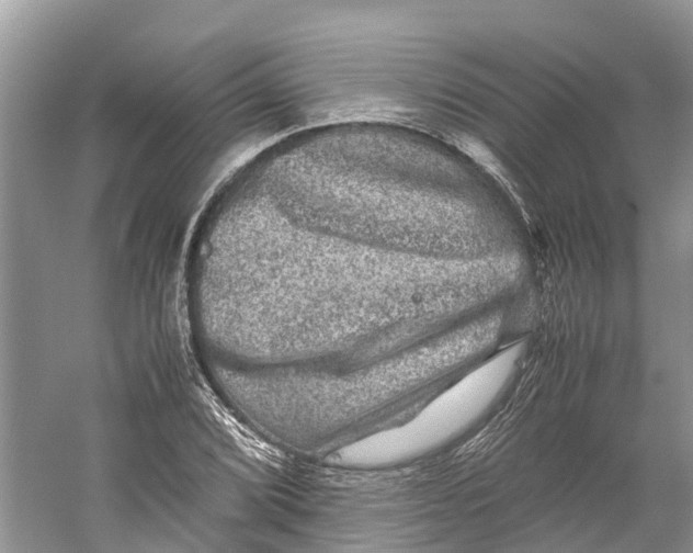 X0000060281072200511181316
