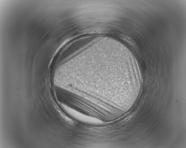 X0000060281075200511181316