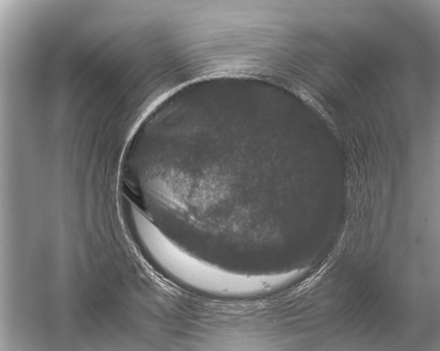 X0000060281077200511181316