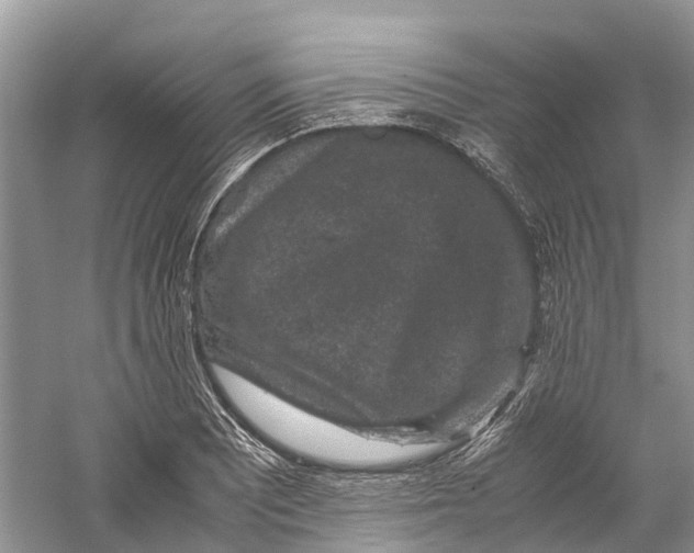 X0000060281081200511181316
