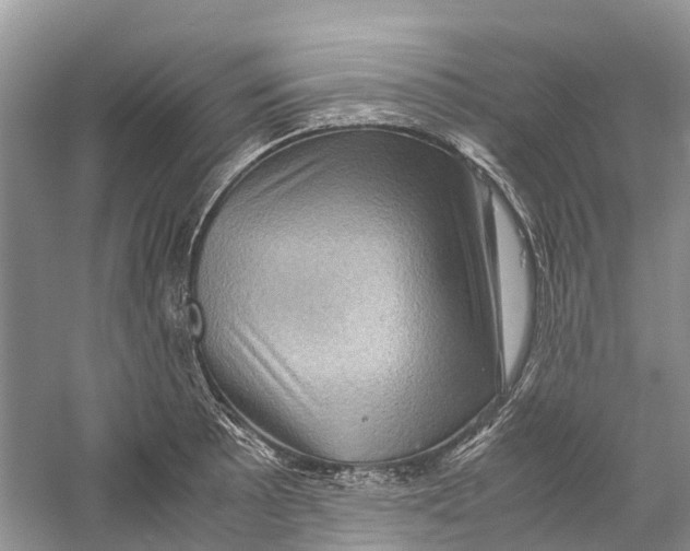 X0000060281089200511181316