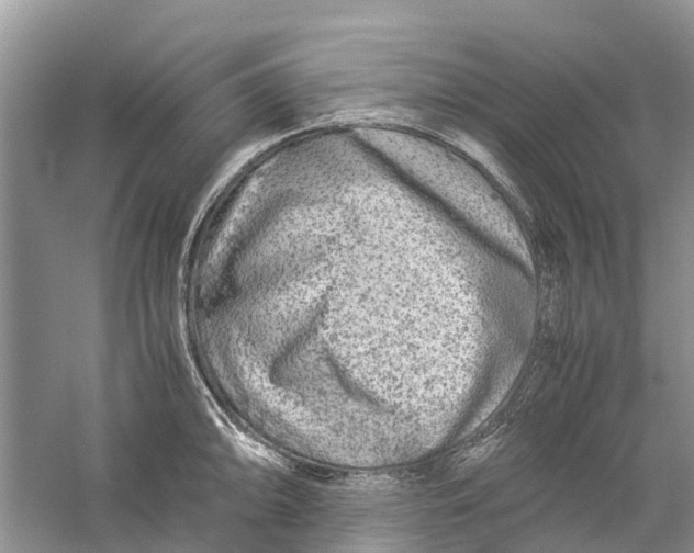 X0000060281094200511181316