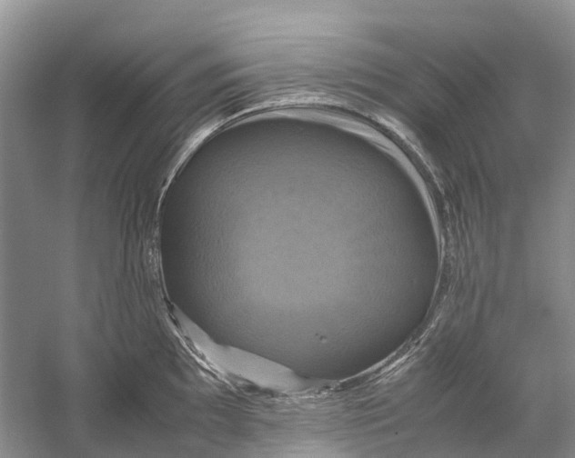 X0000060281097200511181316