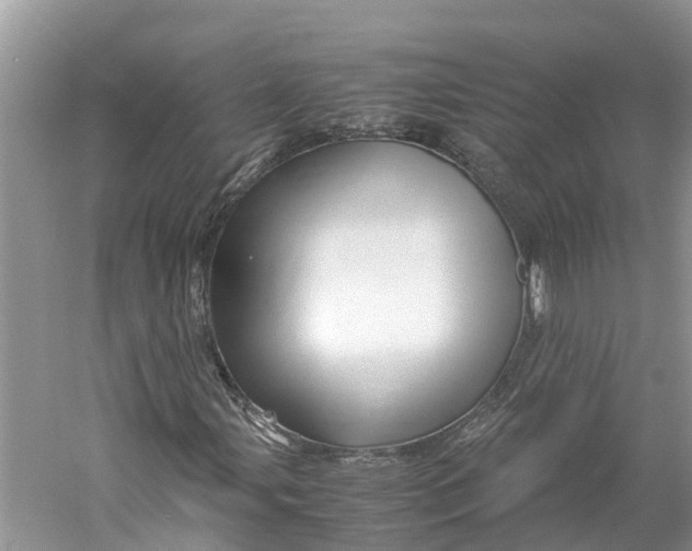 X0000060281107200511181315
