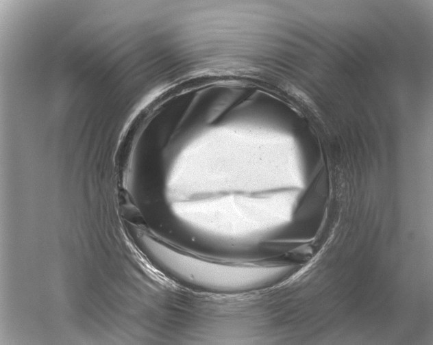 X0000060281114200511181315