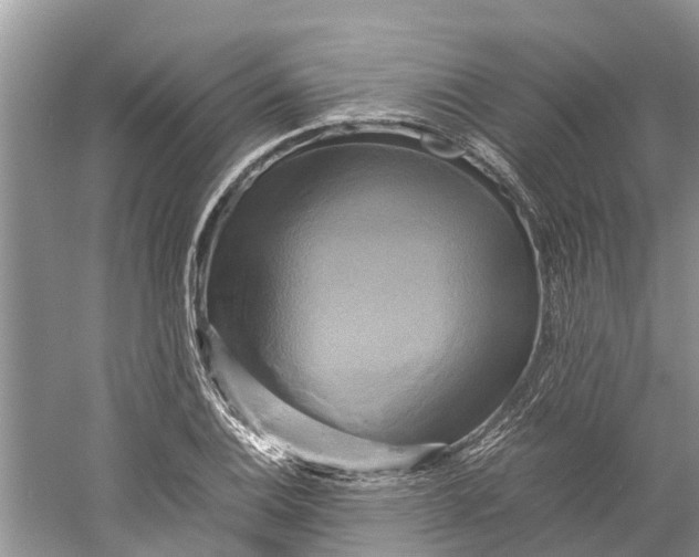X0000060281124200511181315