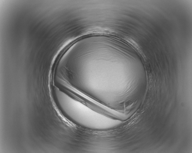 X0000060281128200511181315