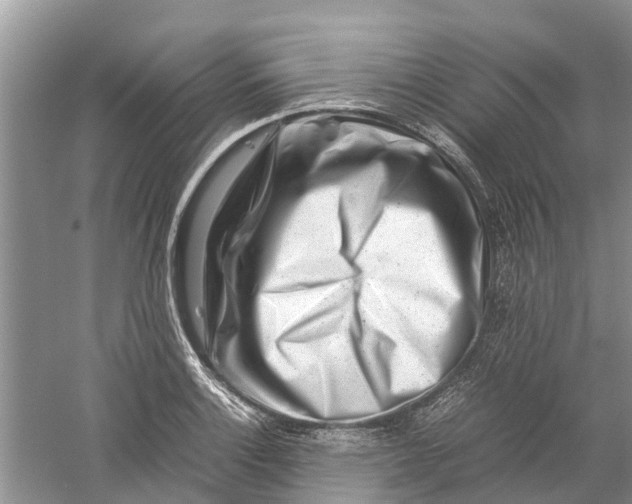 X0000060281132200511181315
