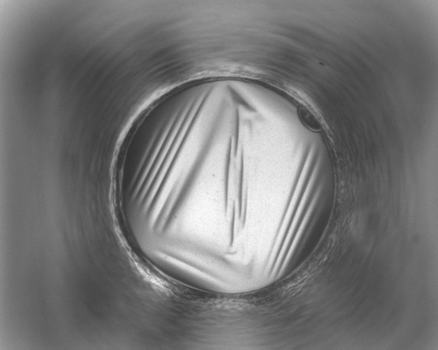 X0000060281136200511181315