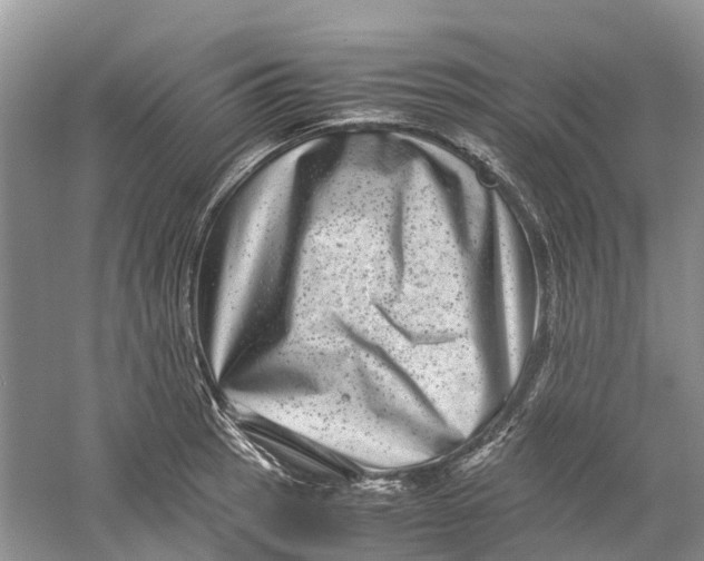 X0000060281137200511181315