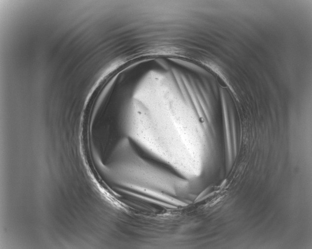 X0000060281139200511181315