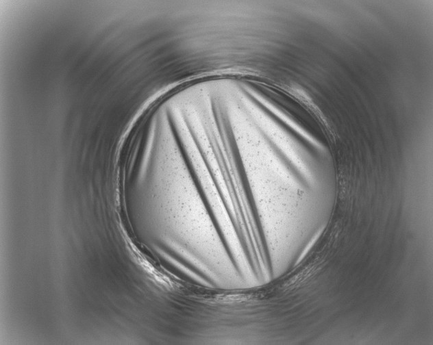 X0000060281140200511181315