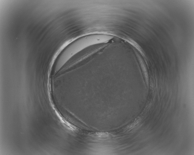 X0000060281144200511181315