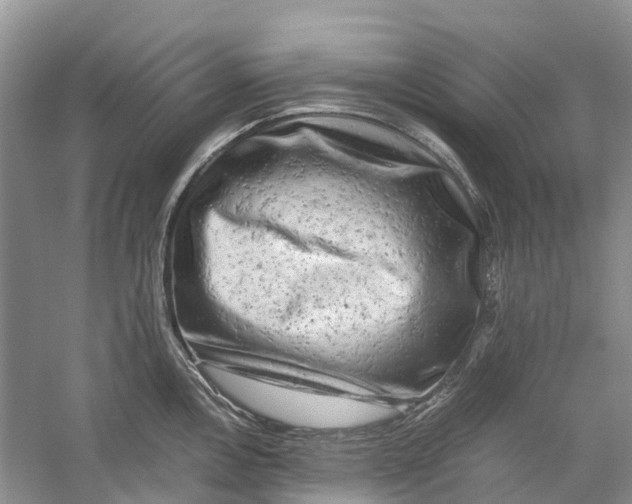 X0000060281146200511181315