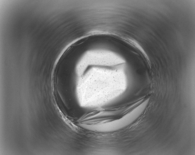 X0000060281148200511181315