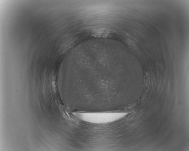 X0000060281154200511181315