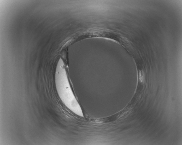 X0000060281155200511181315