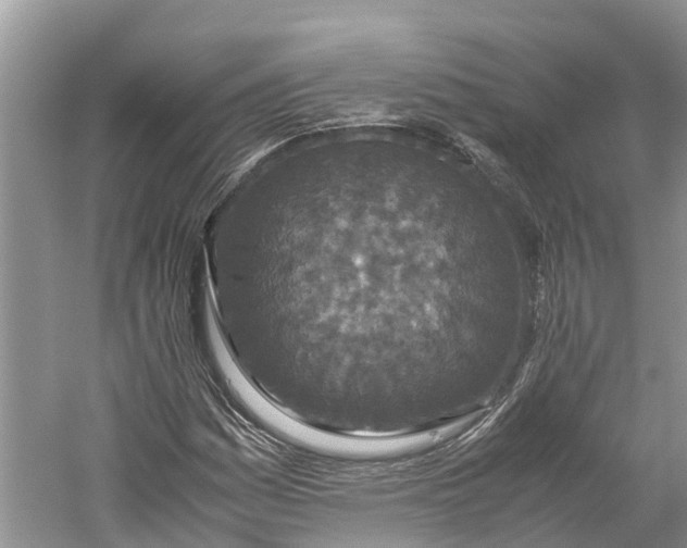 X0000060281161200511181315