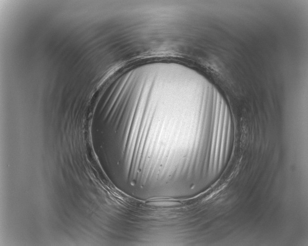 X0000060281162200511181314