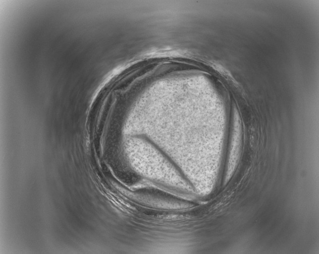 X0000060281167200511181314