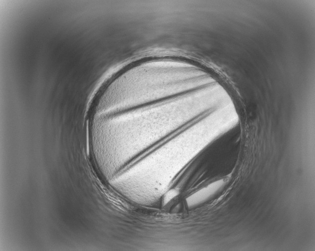 X0000060281175200511181314