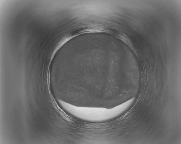 X0000060281179200511181314