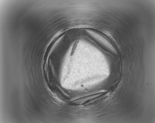X0000060281181200511181314