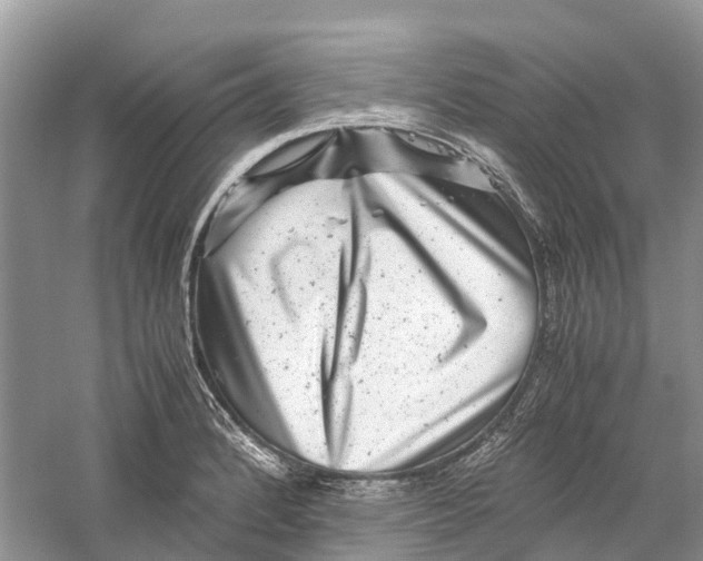 X0000060281184200511181314