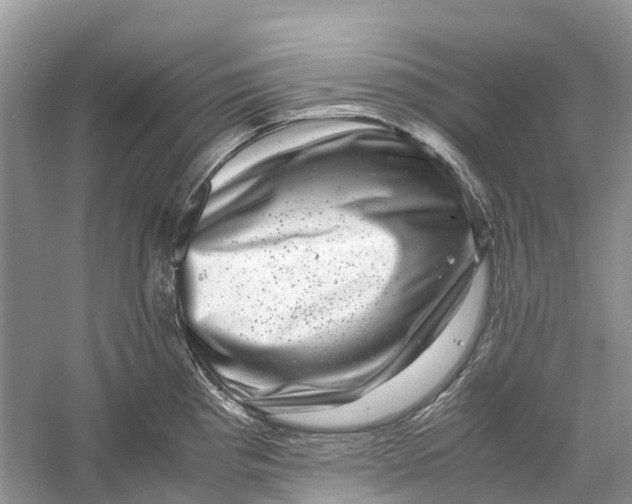 X0000060281193200511181314