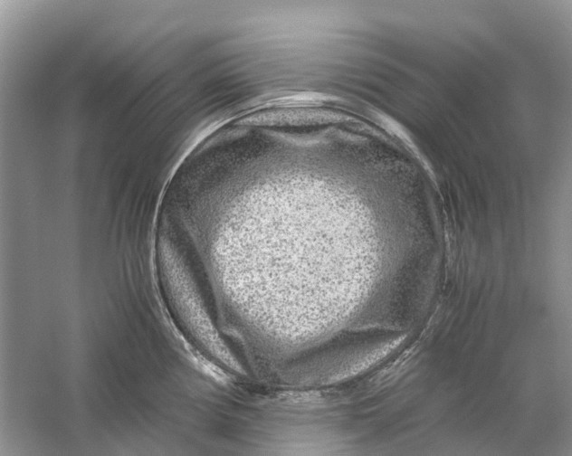 X0000060281194200511181314