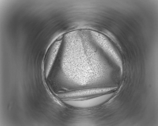 X0000060281198200511181314