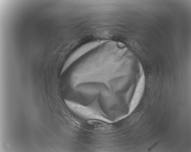 X0000060281201200511181313