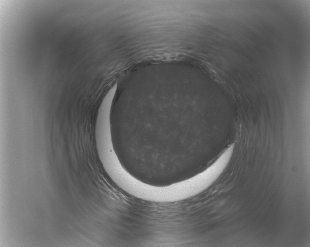 X0000060281202200511181313