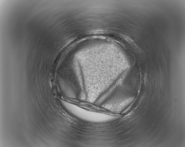X0000060281209200511181313